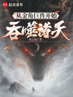 小说《/data/image/18463.jpg》封面