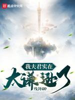 小说《/data/image/18999.jpg》封面
