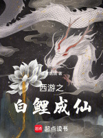 小说《/data/image/1962.jpg》封面