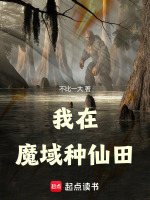 小说《/data/image/20099.jpg》封面