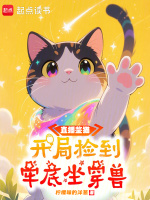 小说《/data/image/20119.jpg》封面