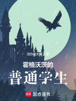 小说《/data/image/2035.jpg》封面