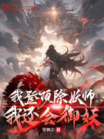 小说《/data/image/20529.jpg》封面