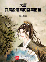 小说《/data/image/2162.jpg》封面