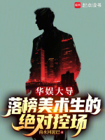华娱大导：落榜美术生的绝对控场小说封面