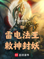 我,雷电法王,敕神封妖!小说封面