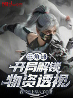 三角洲:开局解锁物资透视小说封面