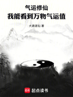 小说《/data/image/2317.jpg》封面