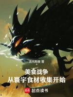小说《/data/image/2408.jpg》封面