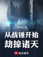 小说《/data/image/2431.jpg》封面