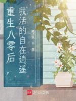 小说《/data/image/2508.jpg》封面