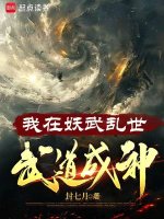 小说《/data/image/2562.jpg》封面