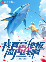 小说《/data/image/2743.jpg》封面