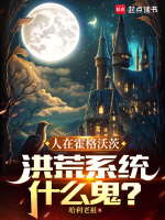 小说《/data/image/3010.jpg》封面