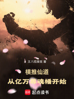 小说《/data/image/3102.jpg》封面