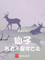 小说《/data/image/3243.jpg》封面