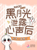 小说《/data/image/3421.jpg》封面