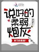 小说《/data/image/3477.jpg》封面
