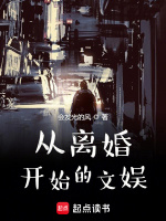 小说《/data/image/3528.jpg》封面