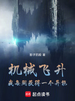 小说《/data/image/3953.jpg》封面