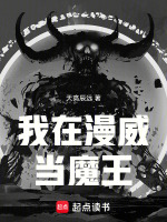 小说《/data/image/4027.jpg》封面