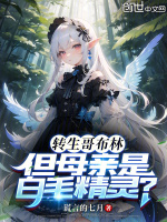 小说《/data/image/4056.jpg》封面