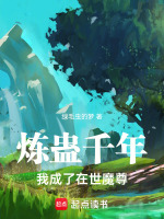 小说《/data/image/4115.jpg》封面