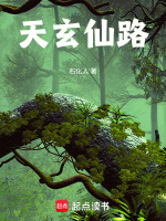 小说《/data/image/416.jpg》封面