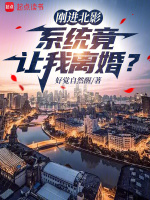 小说《/data/image/4287.jpg》封面