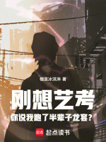 小说《/data/image/4481.jpg》封面