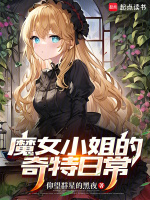 小说《/data/image/4732.jpg》封面