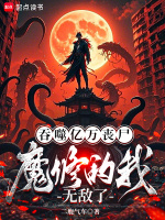 小说《/data/image/4785.jpg》封面