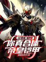 小说《/data/image/4919.jpg》封面