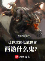 小说《/data/image/4992.jpg》封面