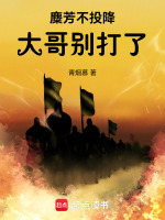 小说《/data/image/5274.jpg》封面