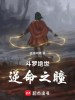 小说《/data/image/541.jpg》封面