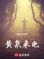 小说《/data/image/5448.jpg》封面