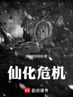 小说《/data/image/6113.jpg》封面