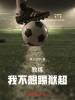 小说《/data/image/6366.jpg》封面