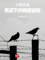 小说《/data/image/6397.jpg》封面