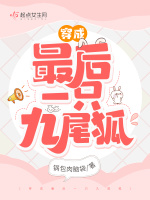 小说《/data/image/6685.jpg》封面