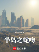 小说《/data/image/6717.jpg》封面
