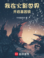 小说《/data/image/6775.jpg》封面
