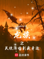 小说《/data/image/6804.jpg》封面