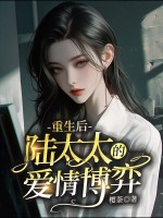 小说《/data/image/711.jpg》封面