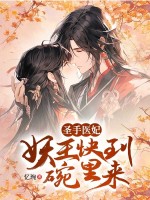 小说《/data/image/714.jpg》封面