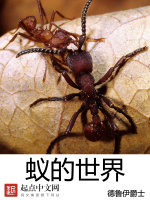 小说《/data/image/7649.jpg》封面