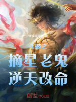 小说《/data/image/7793.jpg》封面