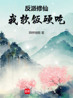 小说《/data/image/784.jpg》封面