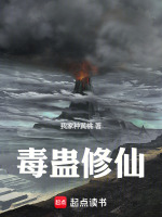 小说《/data/image/824.jpg》封面